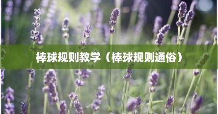 棒球规则教学（棒球规则通俗）