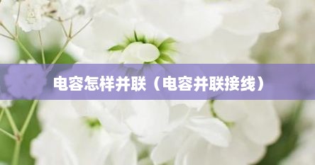 电容怎样并联(电容并联接线)