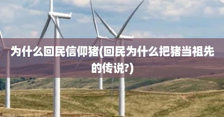 为什么回民信仰猪(回民为什么把猪当祖先的传说?)
