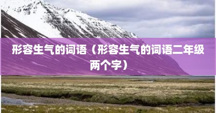 形容生气的词语（形容生气的词语二年级两个字）