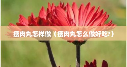 瘦肉丸怎样做（瘦肉丸怎么做好吃?）