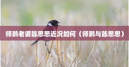 师鹏老婆陈思思近况如何（师鹏与陈思思）