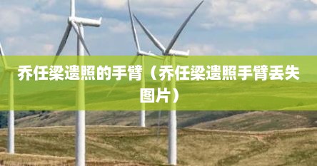 乔任梁遗照的手臂（乔任梁遗照手臂丢失图片）