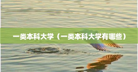 一类本科大学（一类本科大学有哪些）