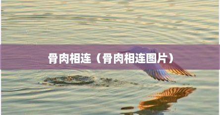 骨肉相连（骨肉相连图片）