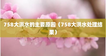 758大洪水的主要原因（758大洪水处理结果）