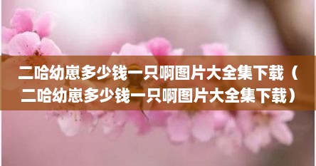 二哈幼崽多少钱一只啊图片大全集下载（二哈幼崽多少钱一只啊图片大全集下载）