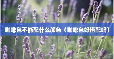 咖啡色不能配什么颜色（咖啡色好搭配吗）