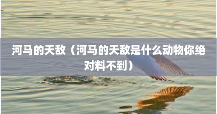 河马的天敌（河马的天敌是什么动物你绝对料不到）