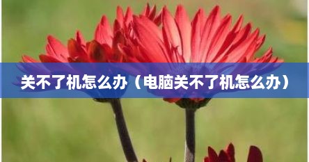 关不了机怎么办（电脑关不了机怎么办）