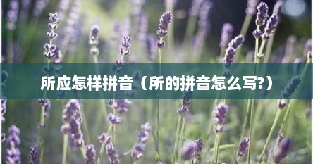 所应怎样拼音（所的拼音怎么写?）