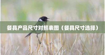 餐具产品尺寸对照表图（餐具尺寸选择）