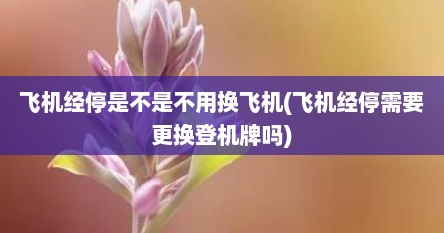 飞机经停是不是不用换飞机(飞机经停需要更换登机牌吗)