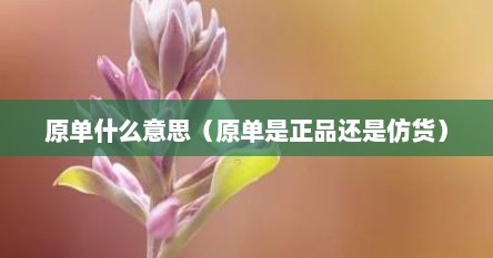 原单什么意思（原单是正品还是仿货）