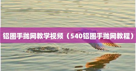 铝圈手抛网教学视频（540铝圈手抛网教程）