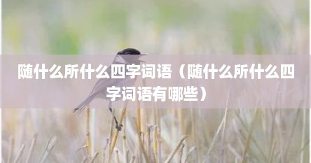 随什么所什么四字词语（随什么所什么四字词语有哪些）