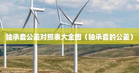 轴承套公差对照表大全图（轴承套的公差）