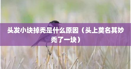 头发小块掉秃是什么原因（头上莫名其妙秃了一块）