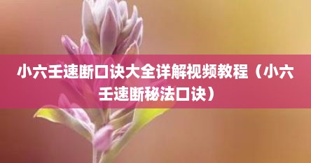 小六壬速断口诀大全详解视频教程（小六壬速断秘法口诀）