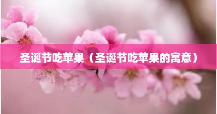 圣诞节吃苹果（圣诞节吃苹果的寓意）