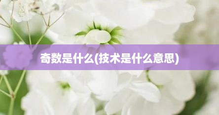 奇数是什么(技术是什么意思)