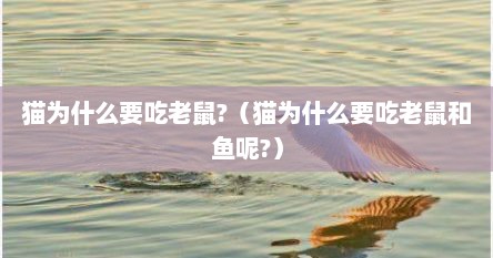 猫为什么要吃老鼠?（猫为什么要吃老鼠和鱼呢?）
