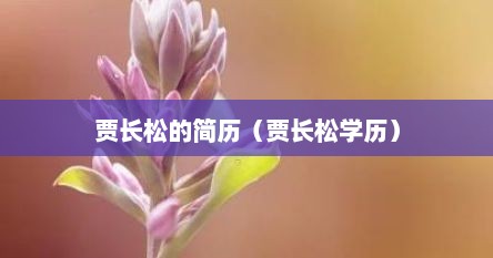 贾长松的简历（贾长松学历）