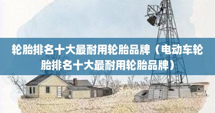 轮胎排名十大最耐用轮胎品牌（电动车轮胎排名十大最耐用轮胎品牌）