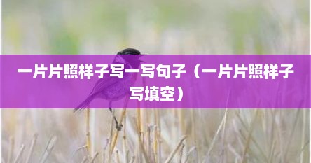 一片片照样子写一写句子（一片片照样子写填空）