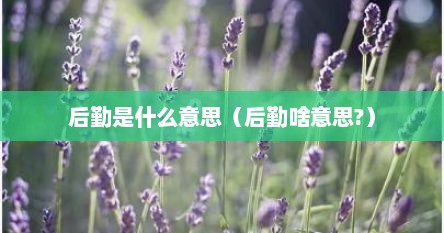 后勤是什么意思（后勤啥意思?）