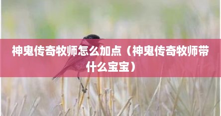 神鬼传奇牧师怎么加点（神鬼传奇牧师带什么宝宝）