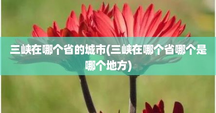 三峡在哪个省的城市(三峡在哪个省哪个是哪个地方)