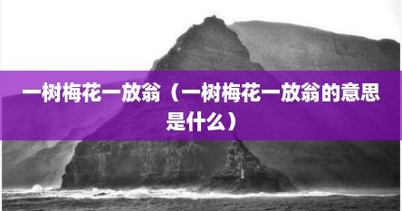 一树梅花一放翁（一树梅花一放翁的意思是什么）