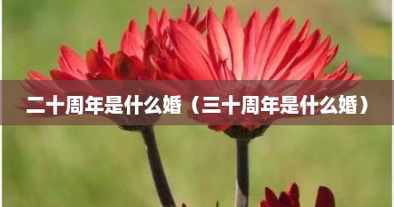 二十周年是什么婚（三十周年是什么婚）