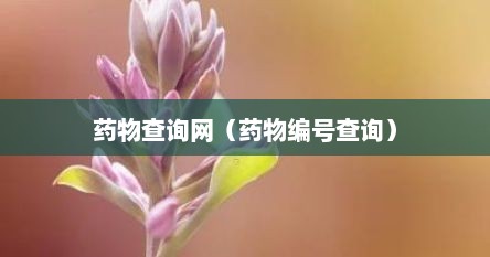 药物查询网（药物编号查询）