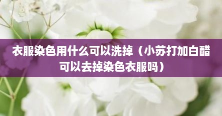 衣服染色用什么可以洗掉（小苏打加白醋可以去掉染色衣服吗）
