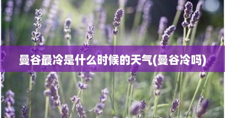 曼谷最冷是什么时候的天气(曼谷冷吗)