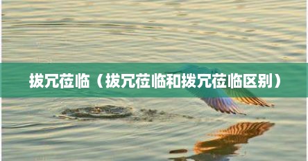 拔冗莅临（拔冗莅临和拨冗莅临区别）