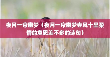 夜月一帘幽梦（夜月一帘幽梦春风十里柔情的意思差不多的诗句）