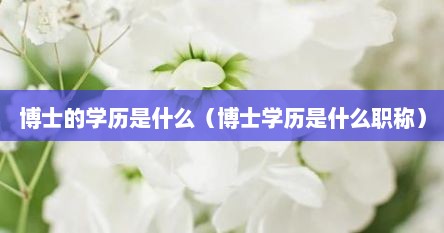 博士的学历是什么（博士学历是什么职称）
