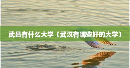 武昌有什么大学（武汉有哪些好的大学）