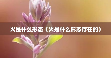 火是什么形态（火是什么形态存在的）