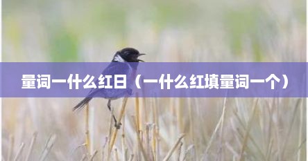 量词一什么红日（一什么红填量词一个）