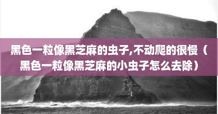 黑色一粒像黑芝麻的虫子,不动爬的很慢（黑色一粒像黑芝麻的小虫子怎么去除）