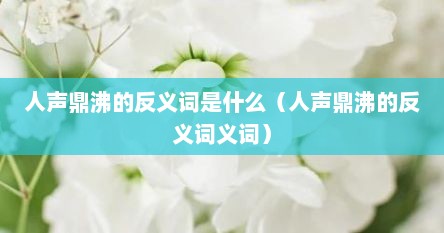 人声鼎沸的反义词是什么（人声鼎沸的反义词义词）