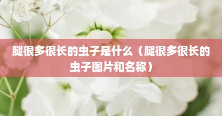 腿很多很长的虫子是什么（腿很多很长的虫子图片和名称）