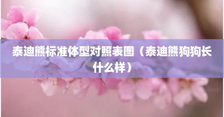 泰迪熊标准体型对照表图（泰迪熊狗狗长什么样）