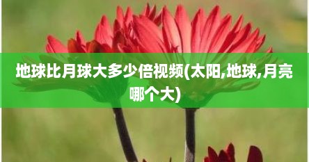 地球比月球大多少倍视频(太阳,地球,月亮哪个大)