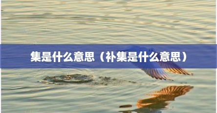 集是什么意思（补集是什么意思）