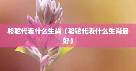骆驼代表什么生肖（骆驼代表什么生肖最好）